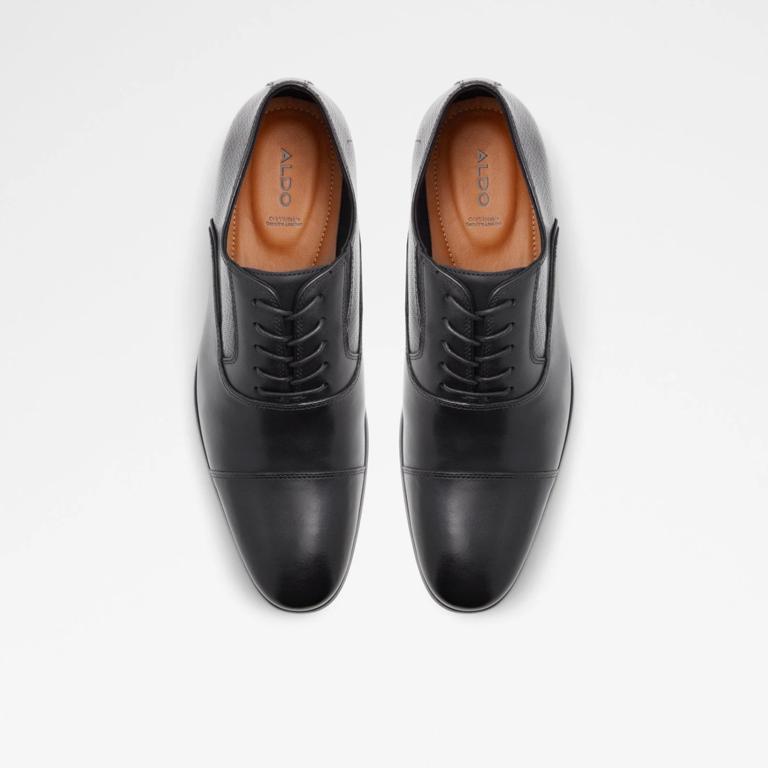 Aldo Albeck 7 Aldo Albeck - Image 7