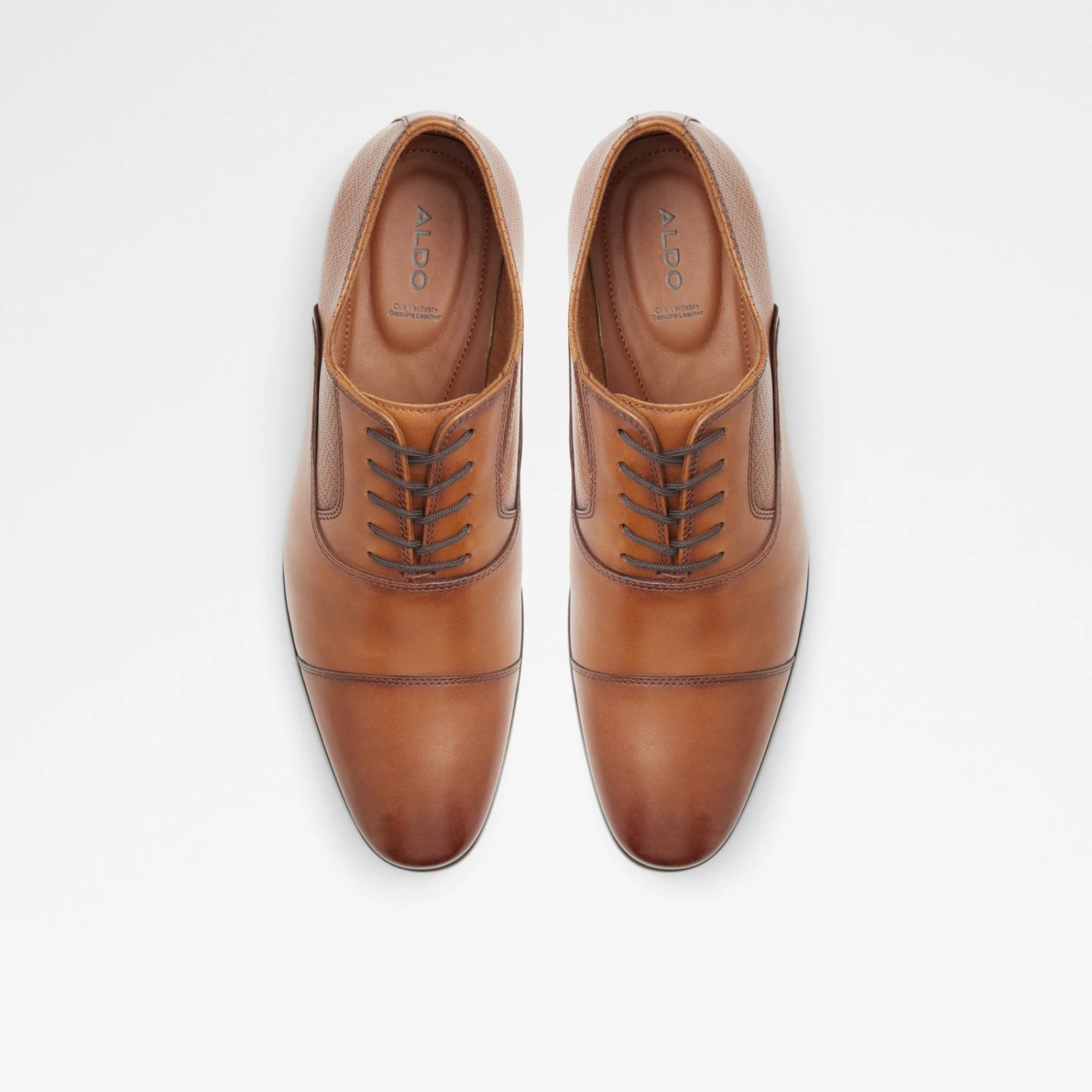 Aldo Albeck 8 Aldo Albeck - Image 8