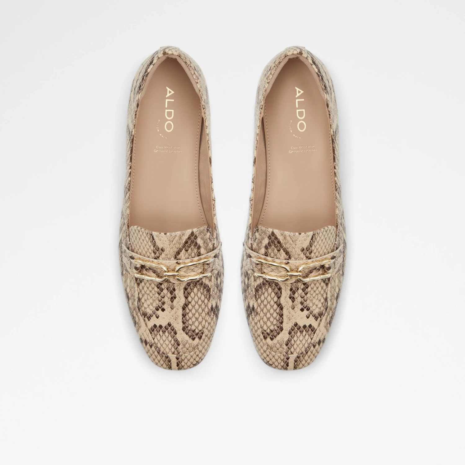 Aldo Cadoder 7 Aldo Cadoder - Image 7