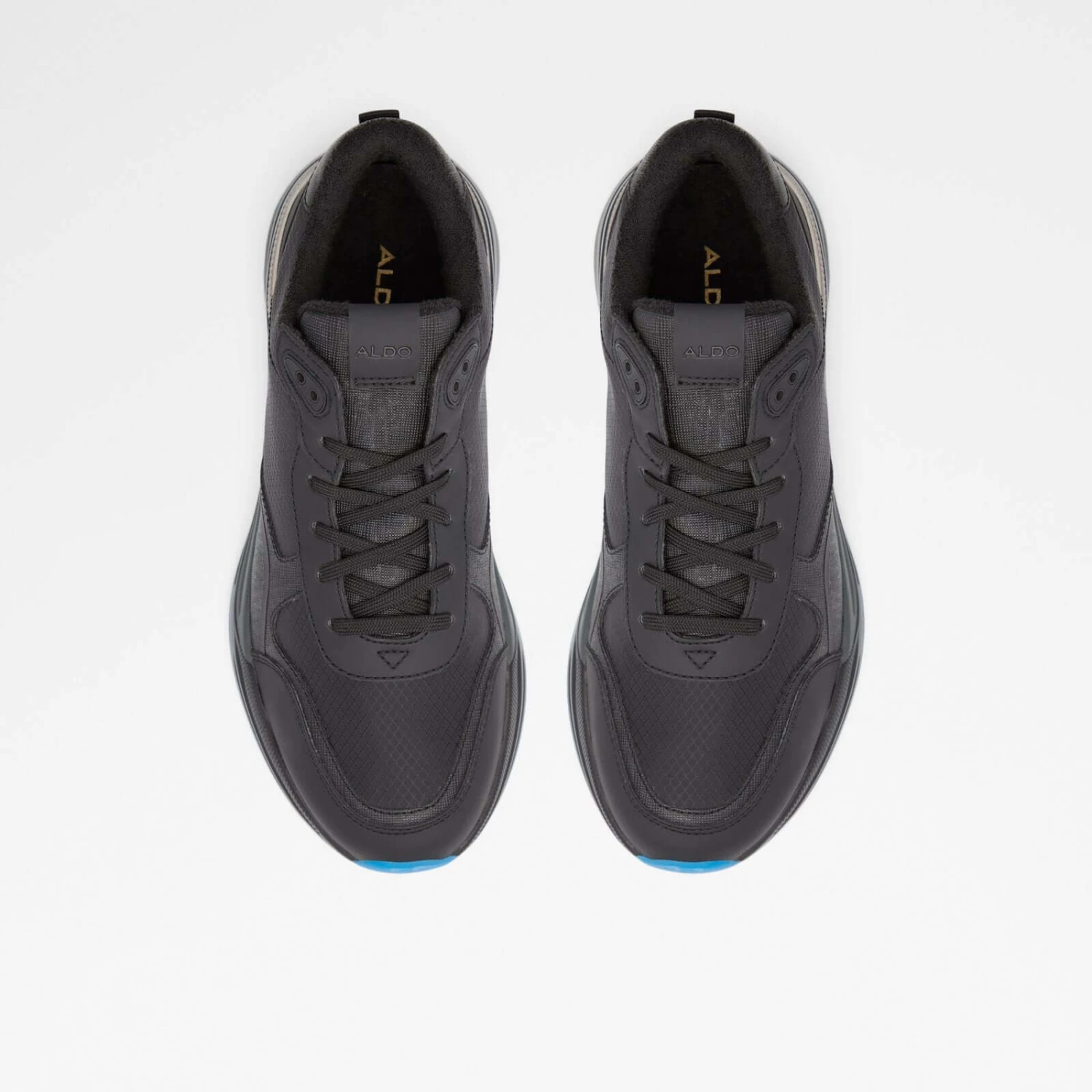 Aldo Cervaes 7 Aldo Cervaes - Image 7