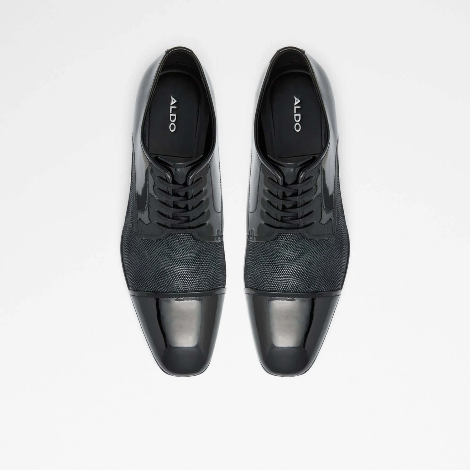 Aldo Cochico 7 Aldo Cochico - Image 7