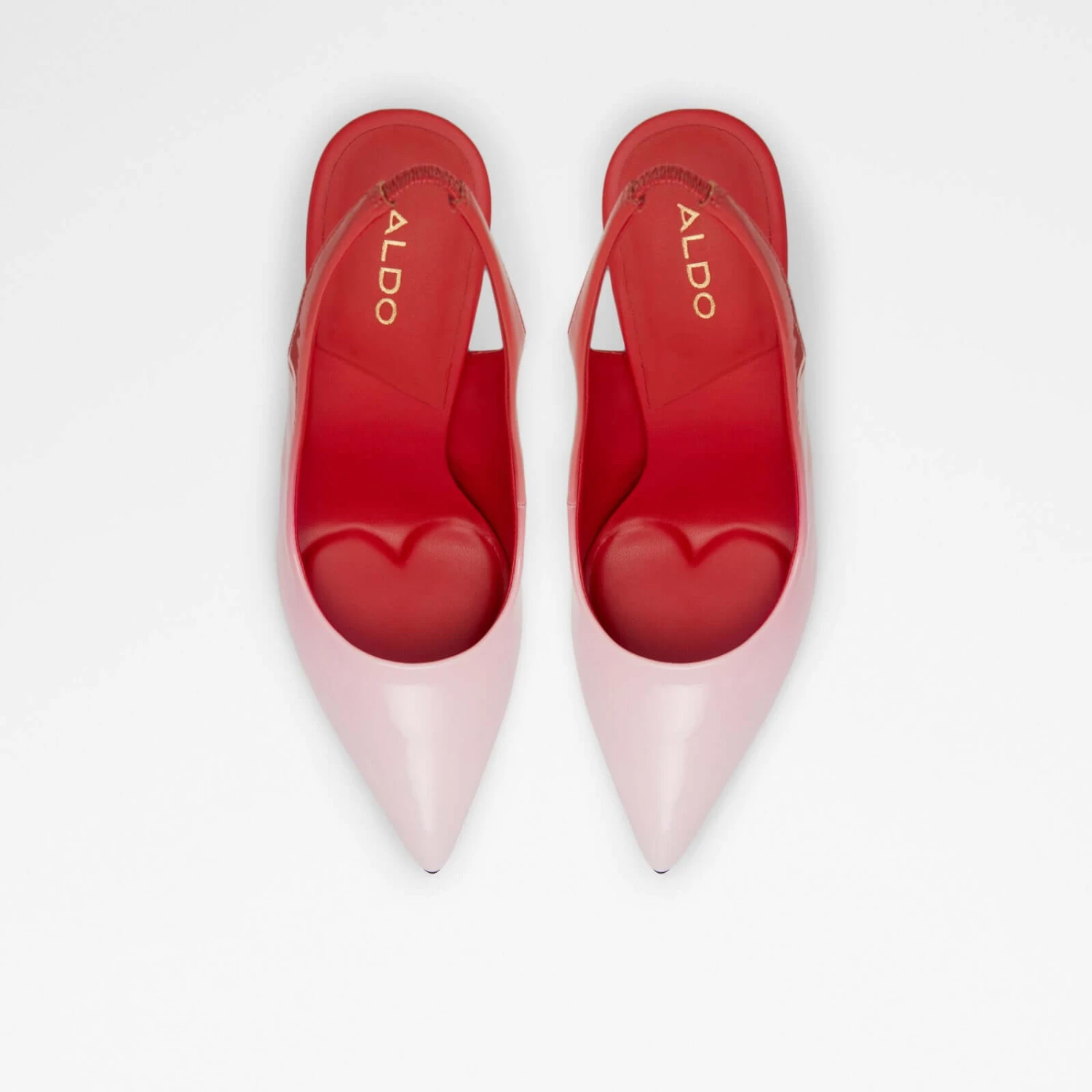 Aldo Cupida 7 Aldo Cupida - Image 7