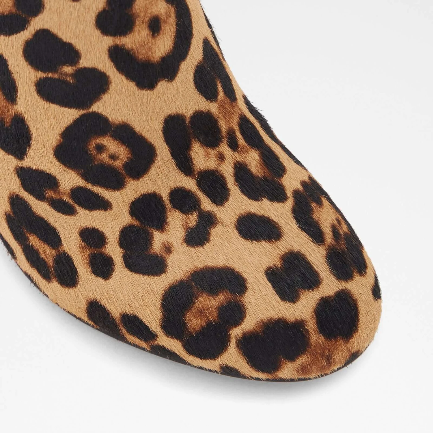 Aldo Dominicaa 6 Aldo Dominicaa - Image 6