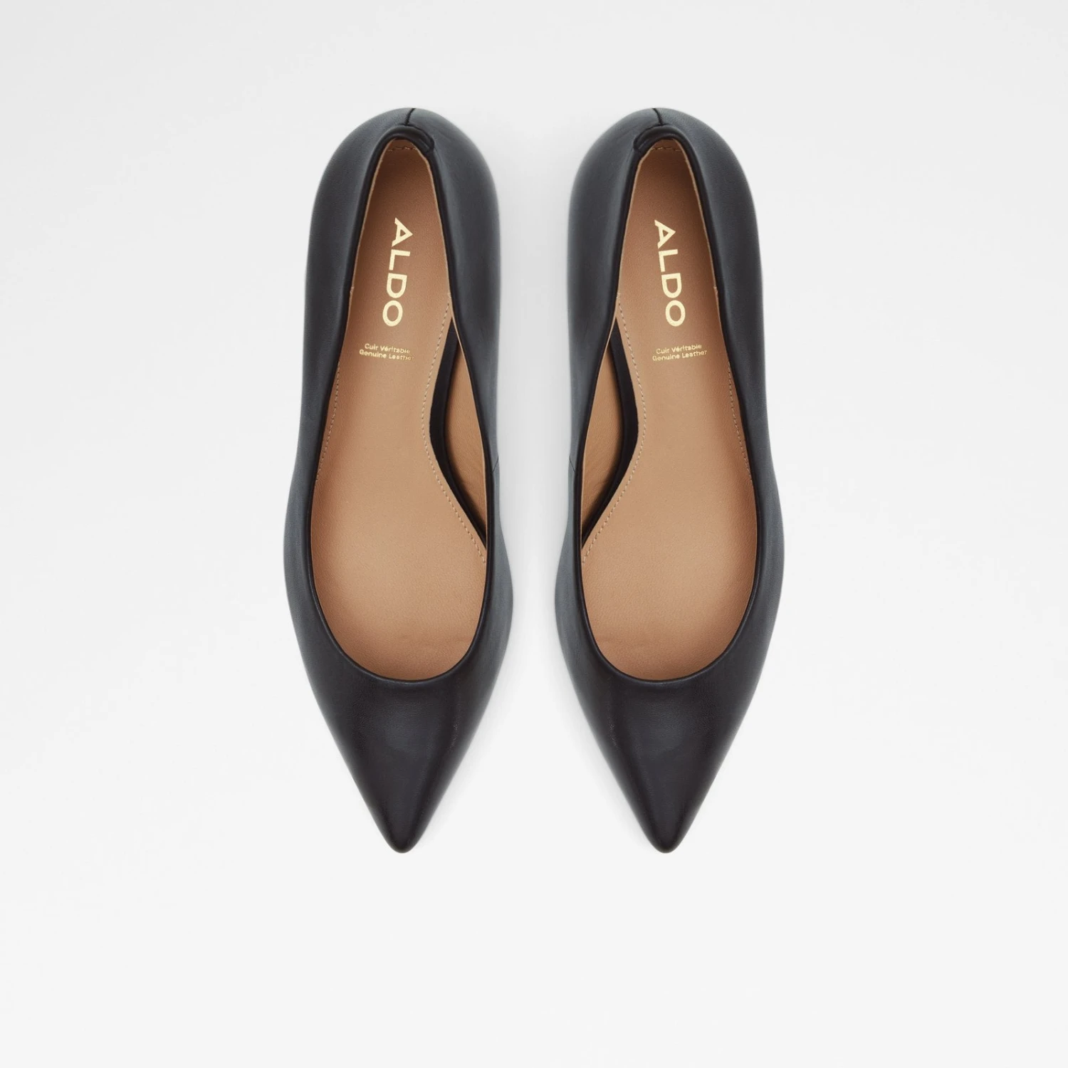 Aldo Elamaever 7 Aldo Elamaever - Image 7