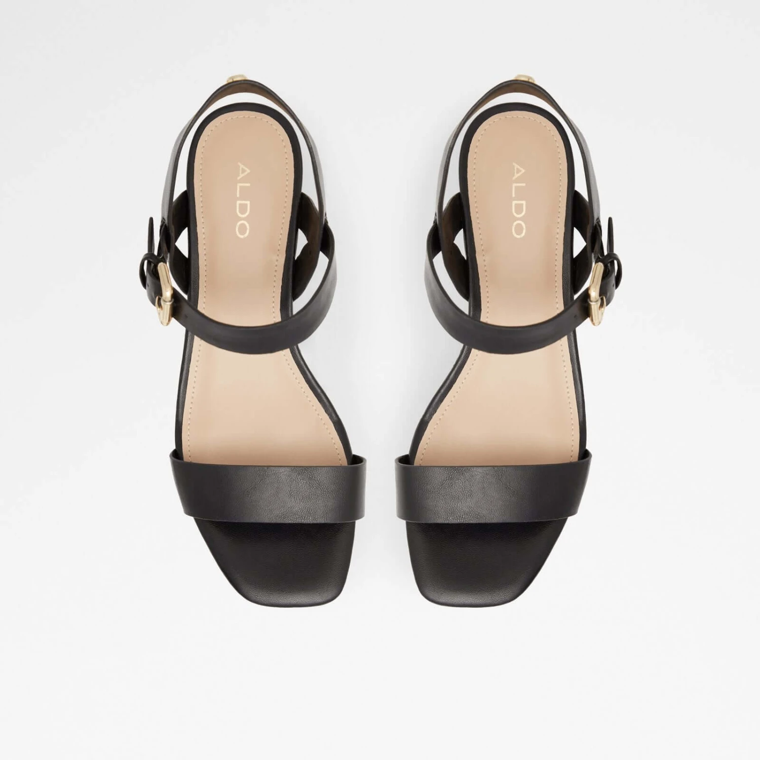 Aldo Eloiniel 7 Aldo Eloiniel - Image 7