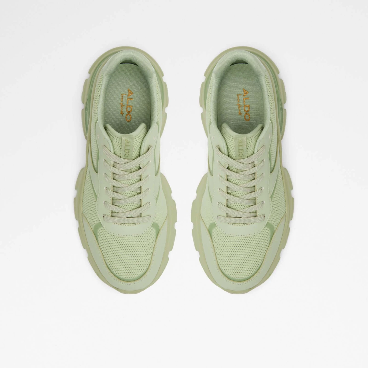 Aldo Enzia 7 Aldo Enzia - Image 7