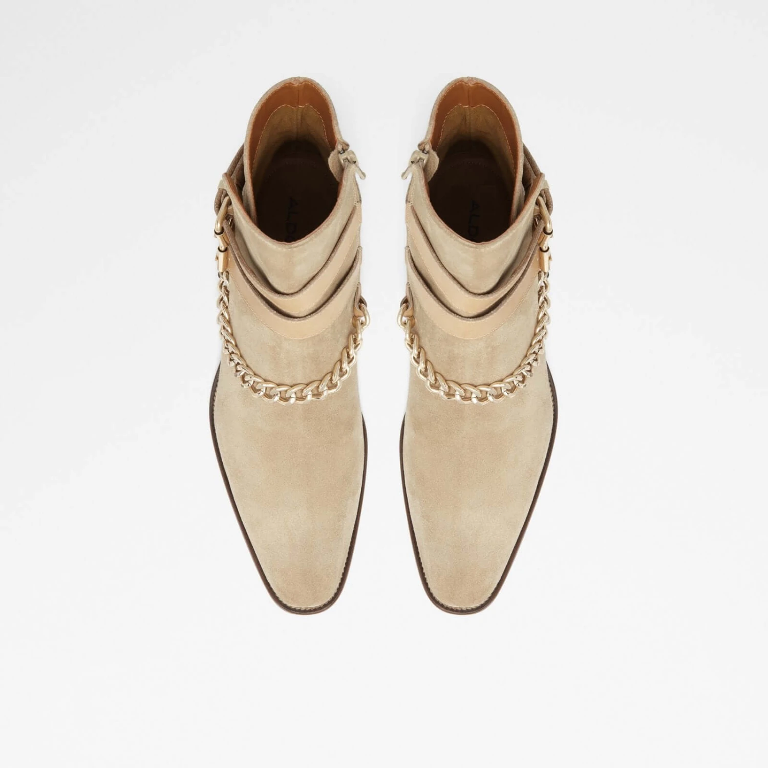 Aldo Eolophus 7 Aldo Eolophus - Image 7