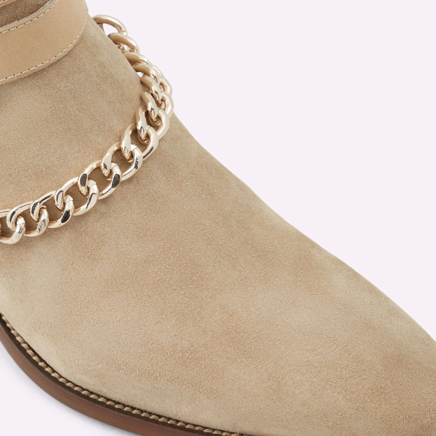 Aldo Eolophus 9 Aldo Eolophus - Image 9