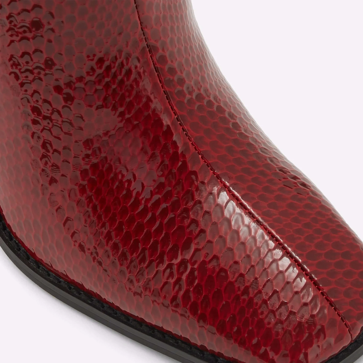 Aldo Eugenius 7 Aldo Eugenius - Image 7