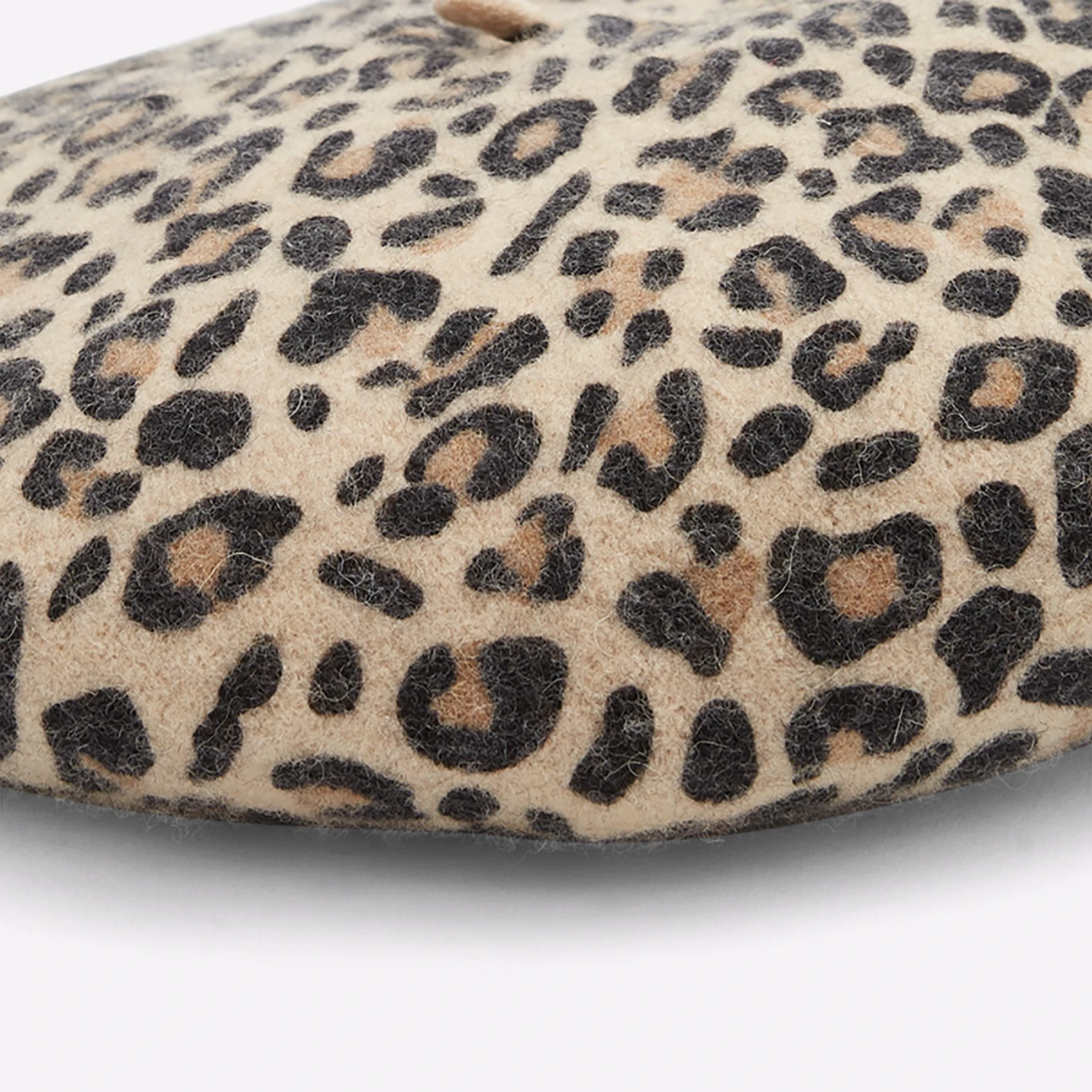 Aldo Galoavia 3 Aldo Galoavia - Image 3