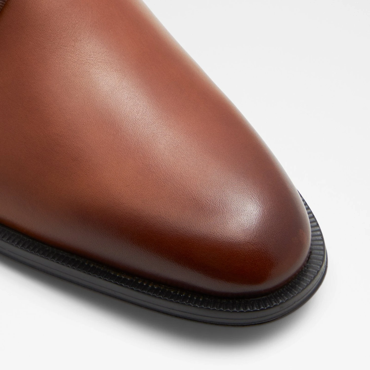 Aldo Halbart 6 Aldo Halbart - Image 6