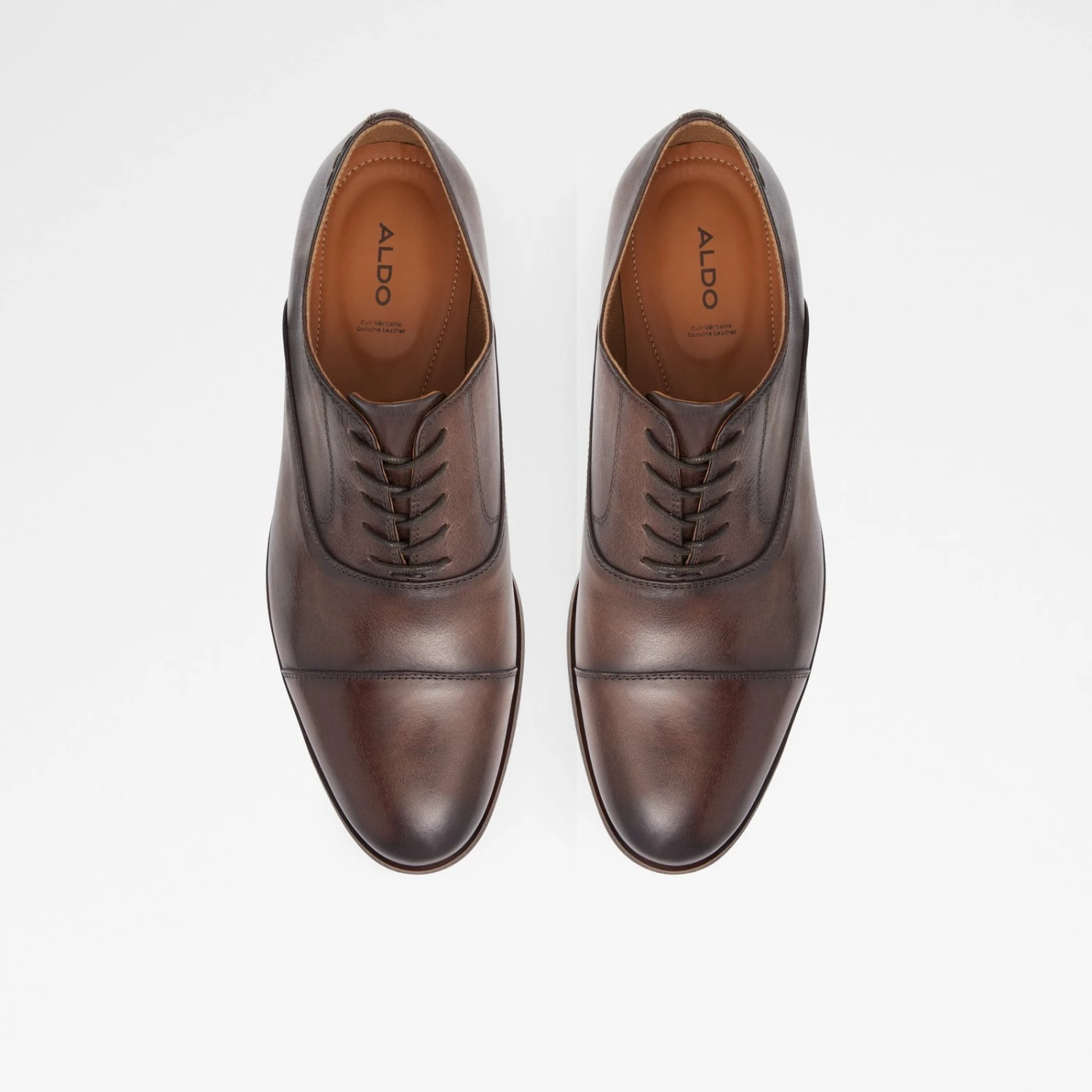 Aldo Kirzinger 7 Aldo Kirzinger - Image 7