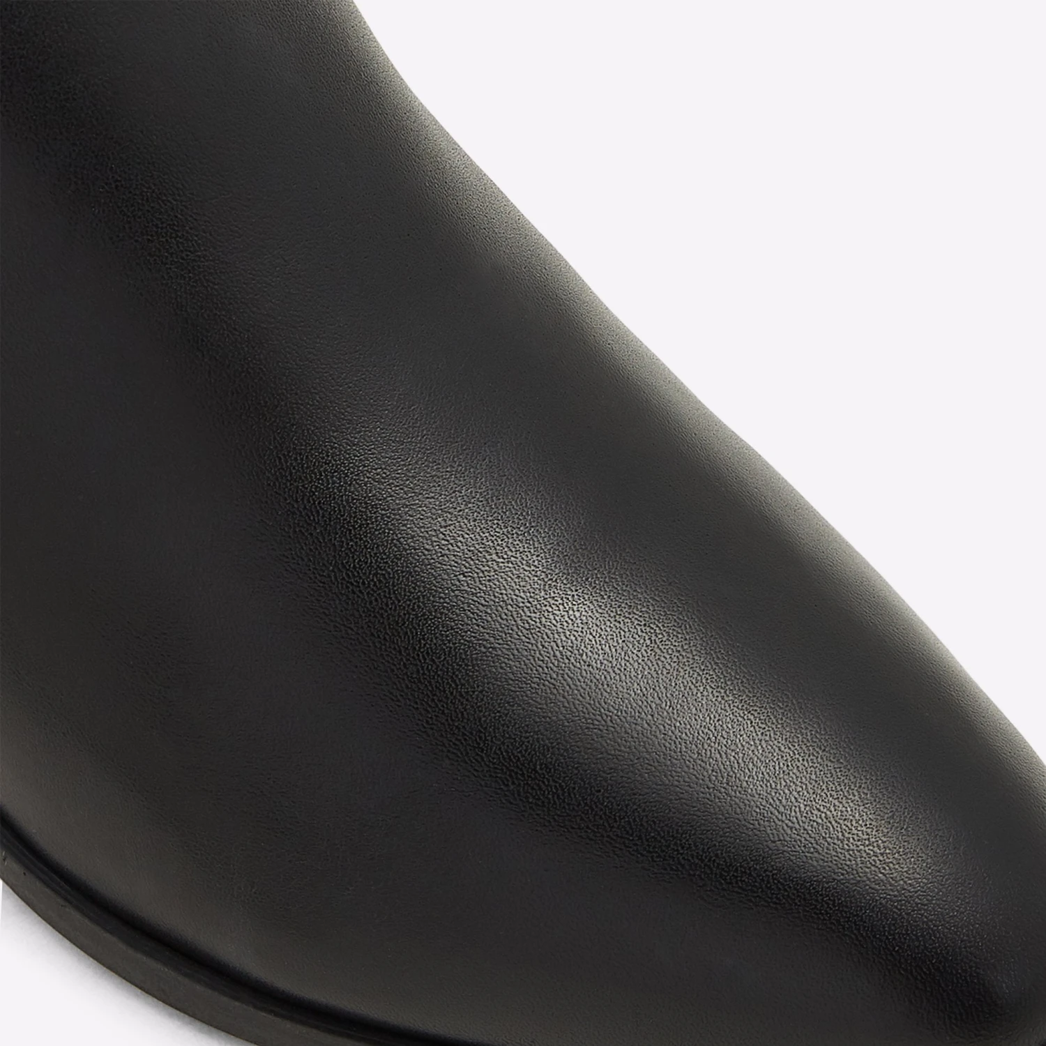 Aldo Larecaja 7 Aldo Larecaja - Image 7