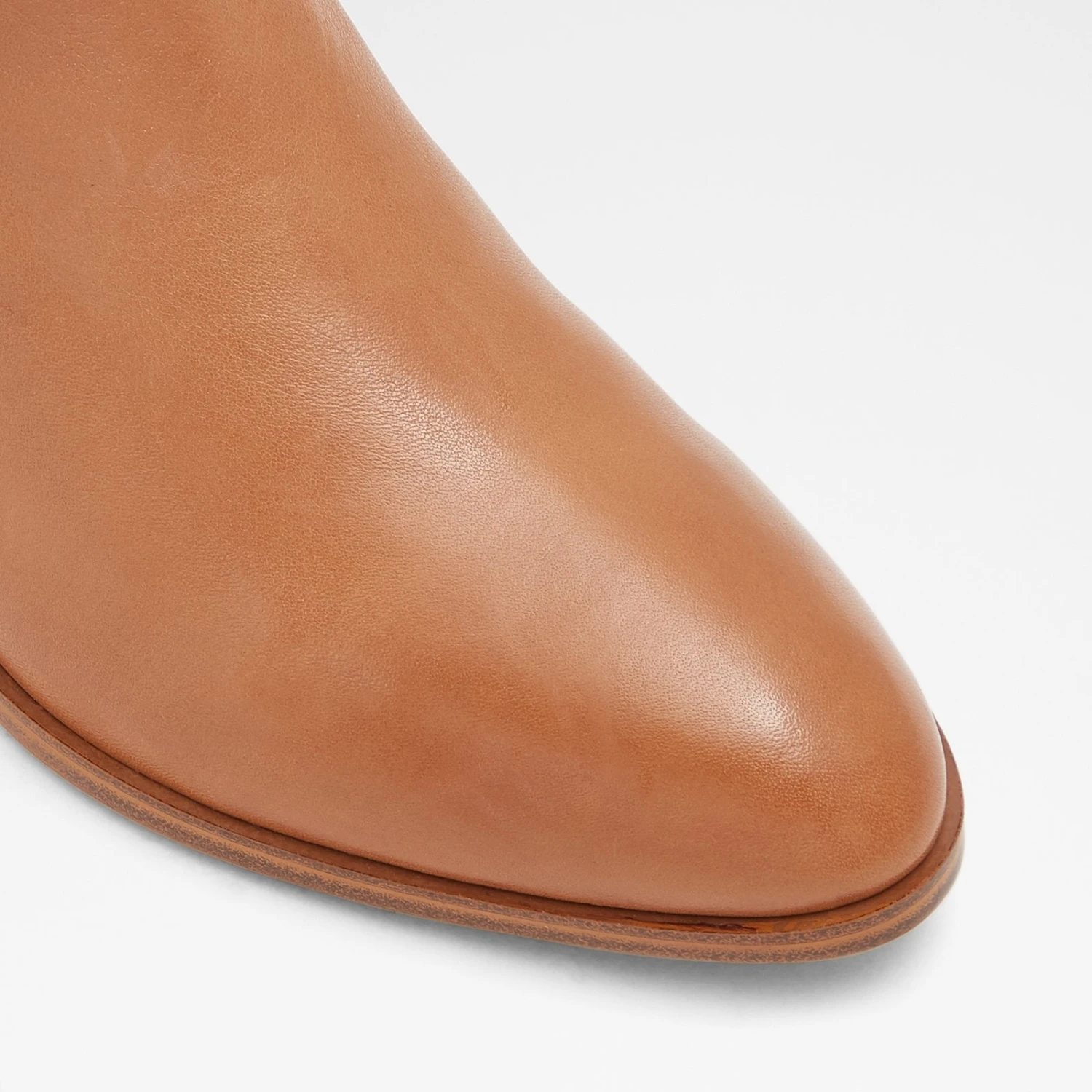 Aldo Larecaja 6 Aldo Larecaja - Image 6