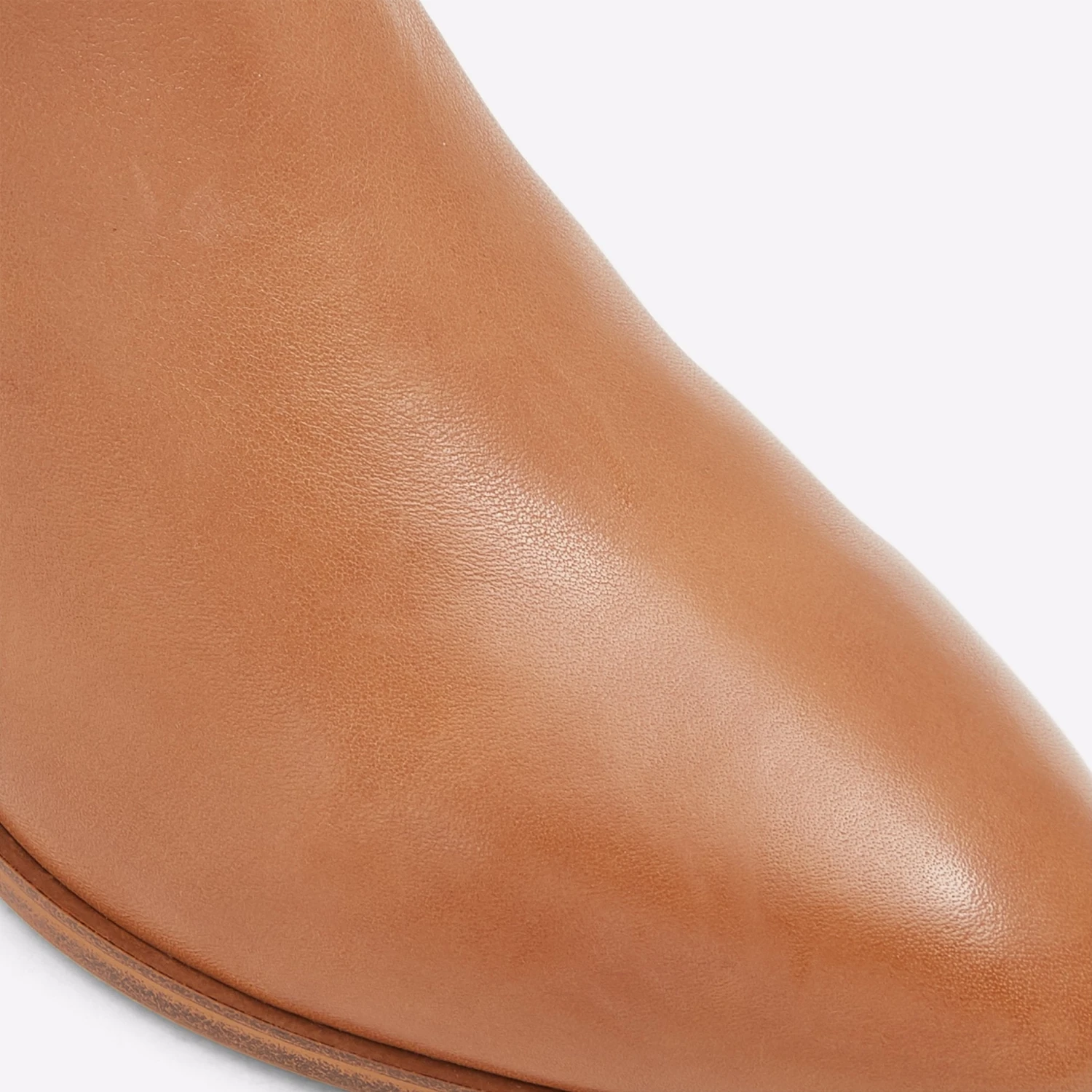 Aldo Larecaja 8 Aldo Larecaja - Image 8