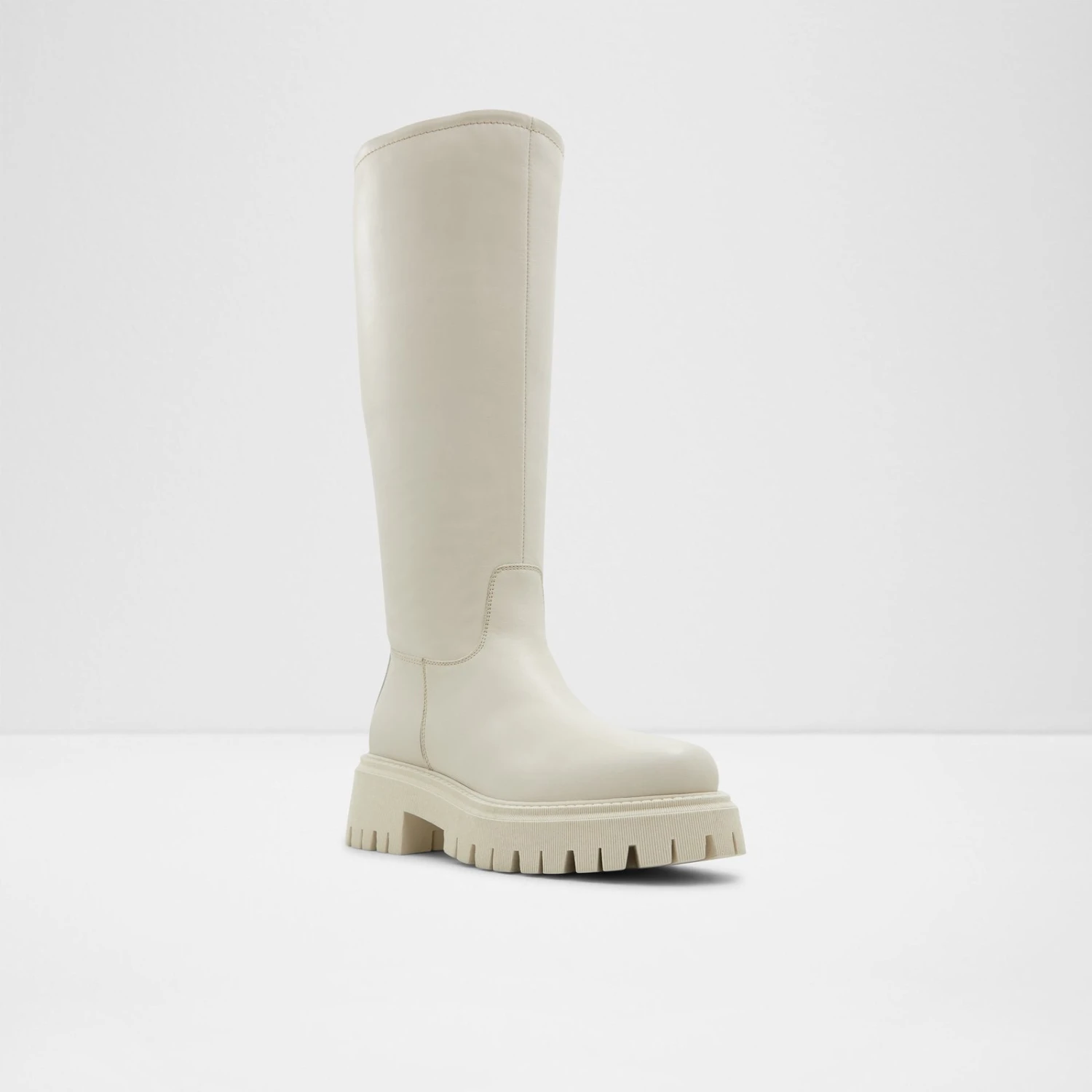 Aldo Loryn 5 Aldo Loryn - Image 5