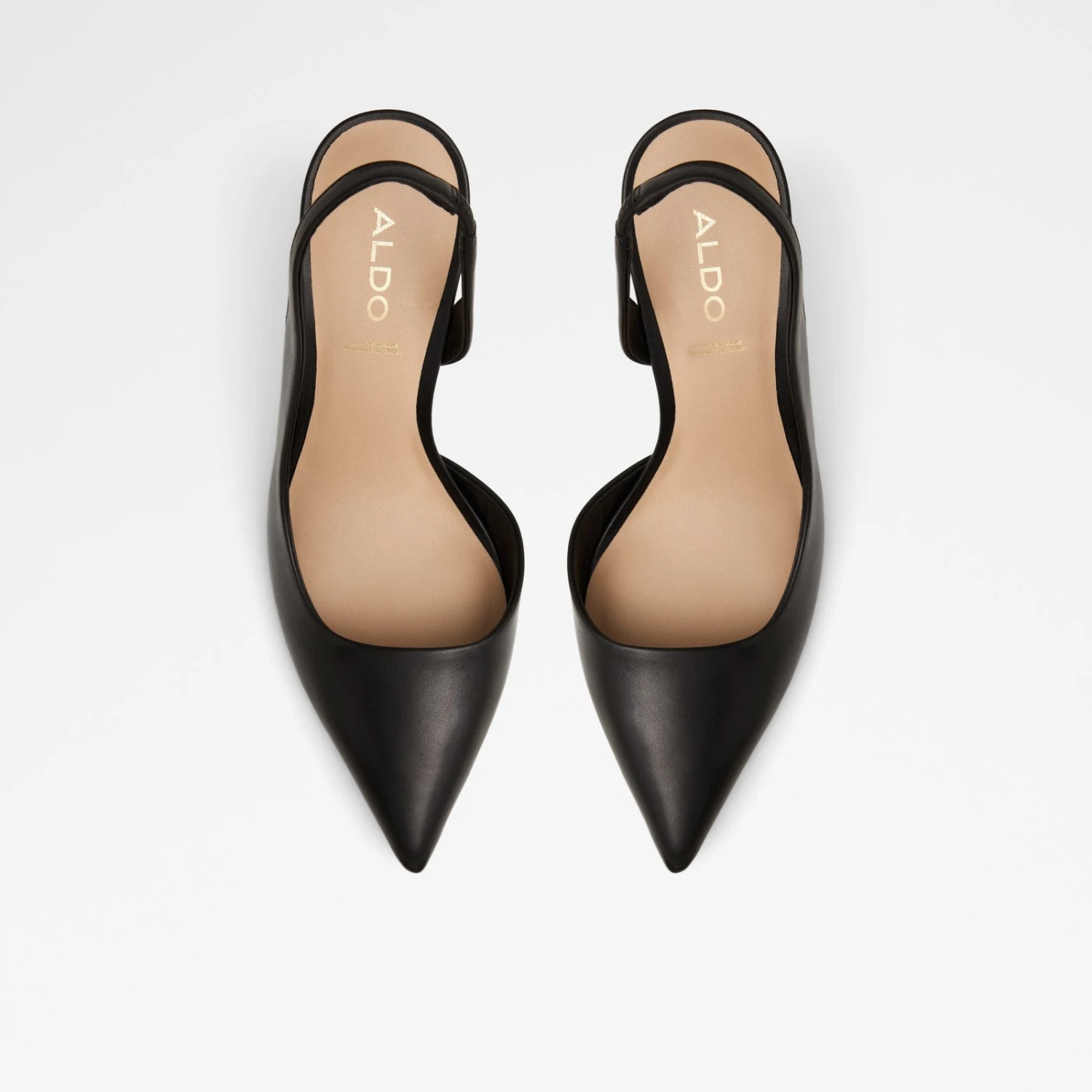 Aldo Loucette 7 Aldo Loucette - Image 7