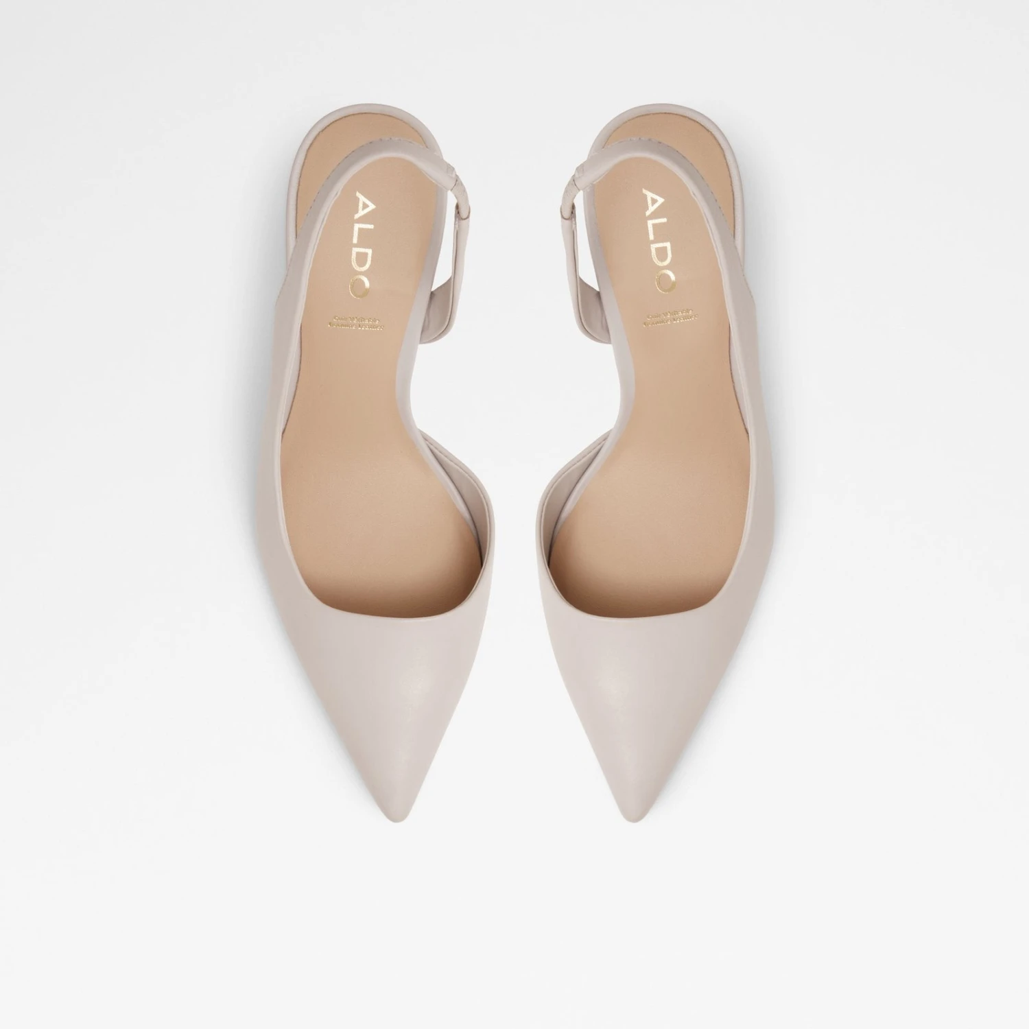 Aldo Loucette 7 Aldo Loucette - Image 7