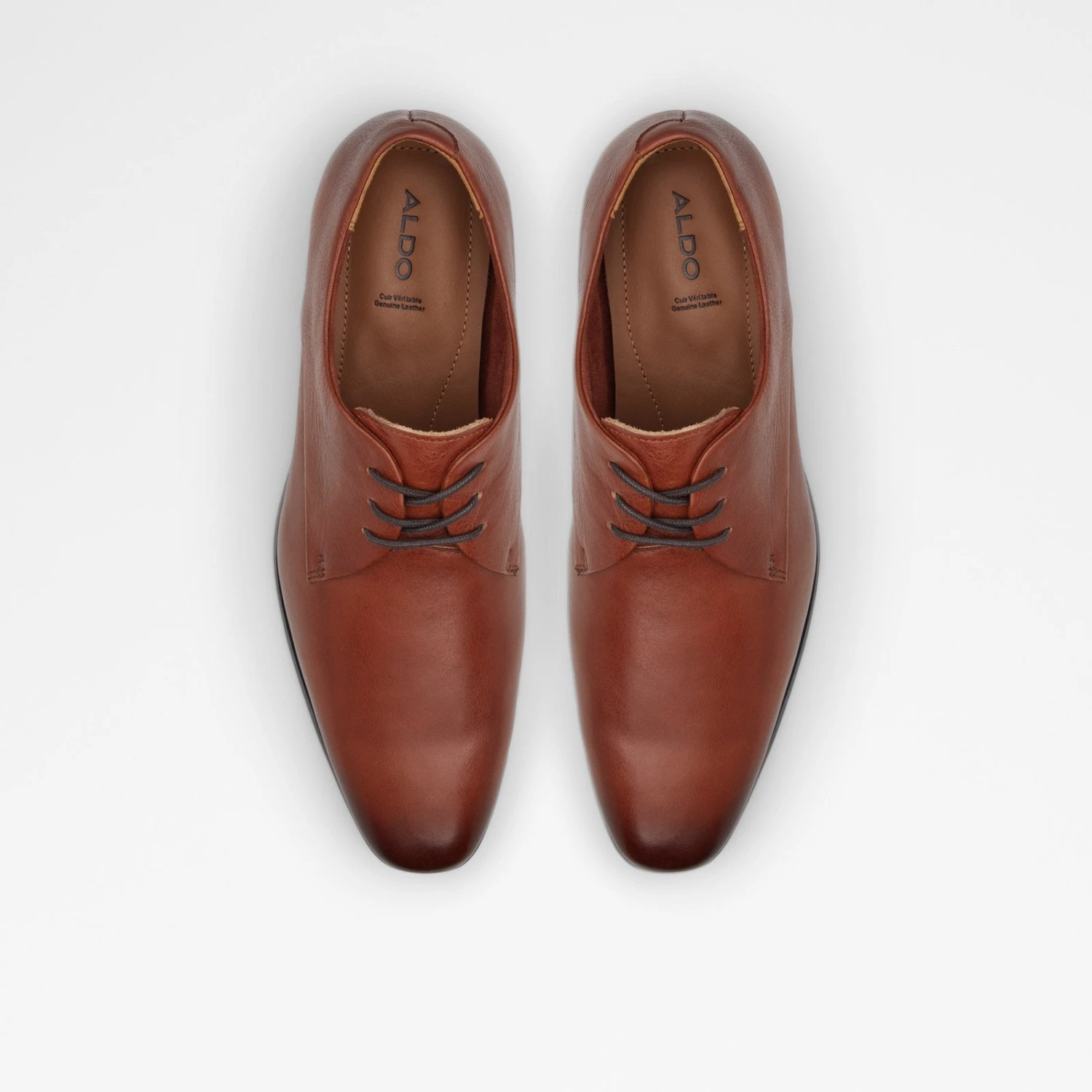 Aldo Malone 7 Aldo Malone - Image 7