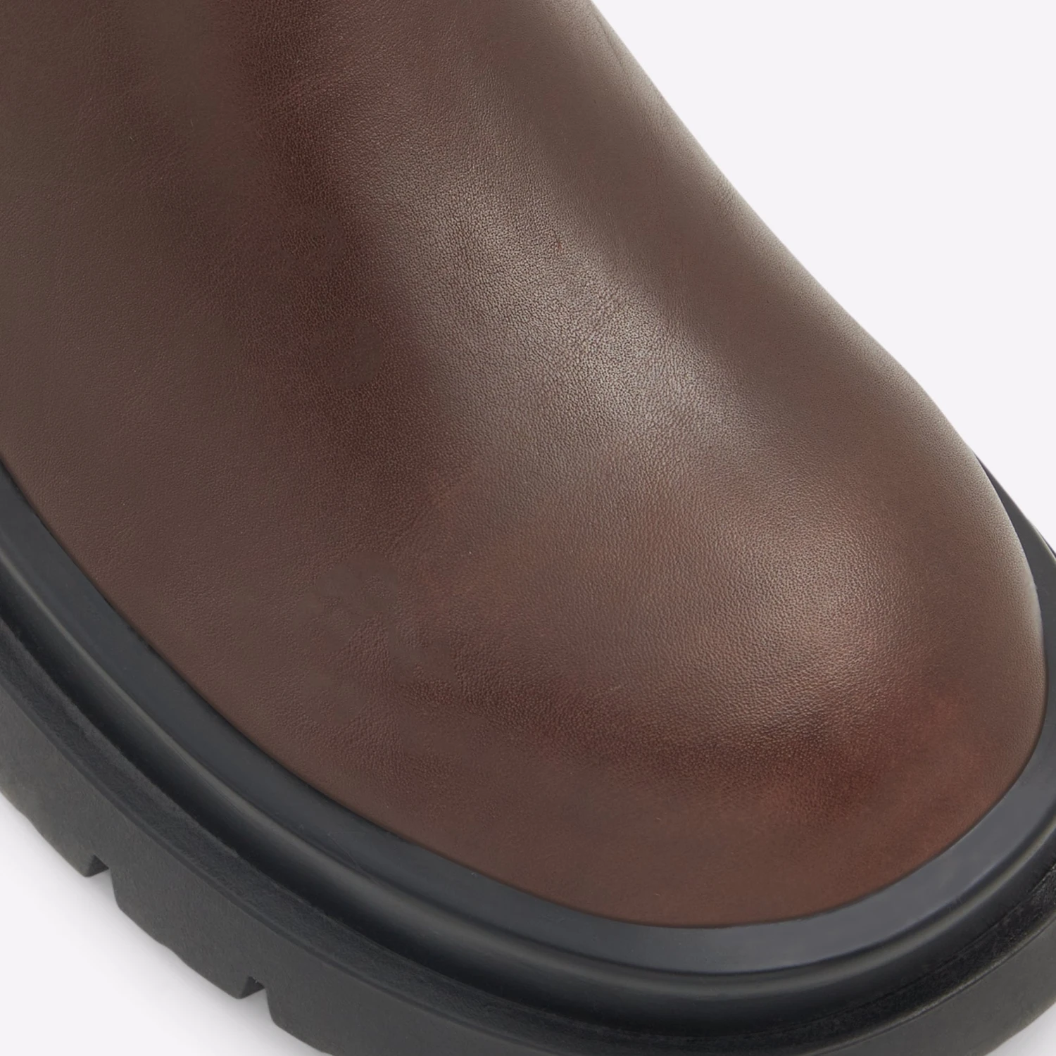 Aldo Maple 7 Aldo Maple - Image 7