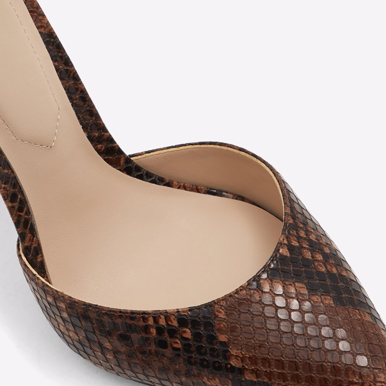 Aldo Nicholes 7 Aldo Nicholes - Image 7