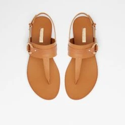 Aldo Pandra 14 Aldo Pandra -Ralph Lauren Store pandra brown 220 002 029 alt5 sq nt 1600x1600 0302c56f b934 453d a294 2be549f11da2