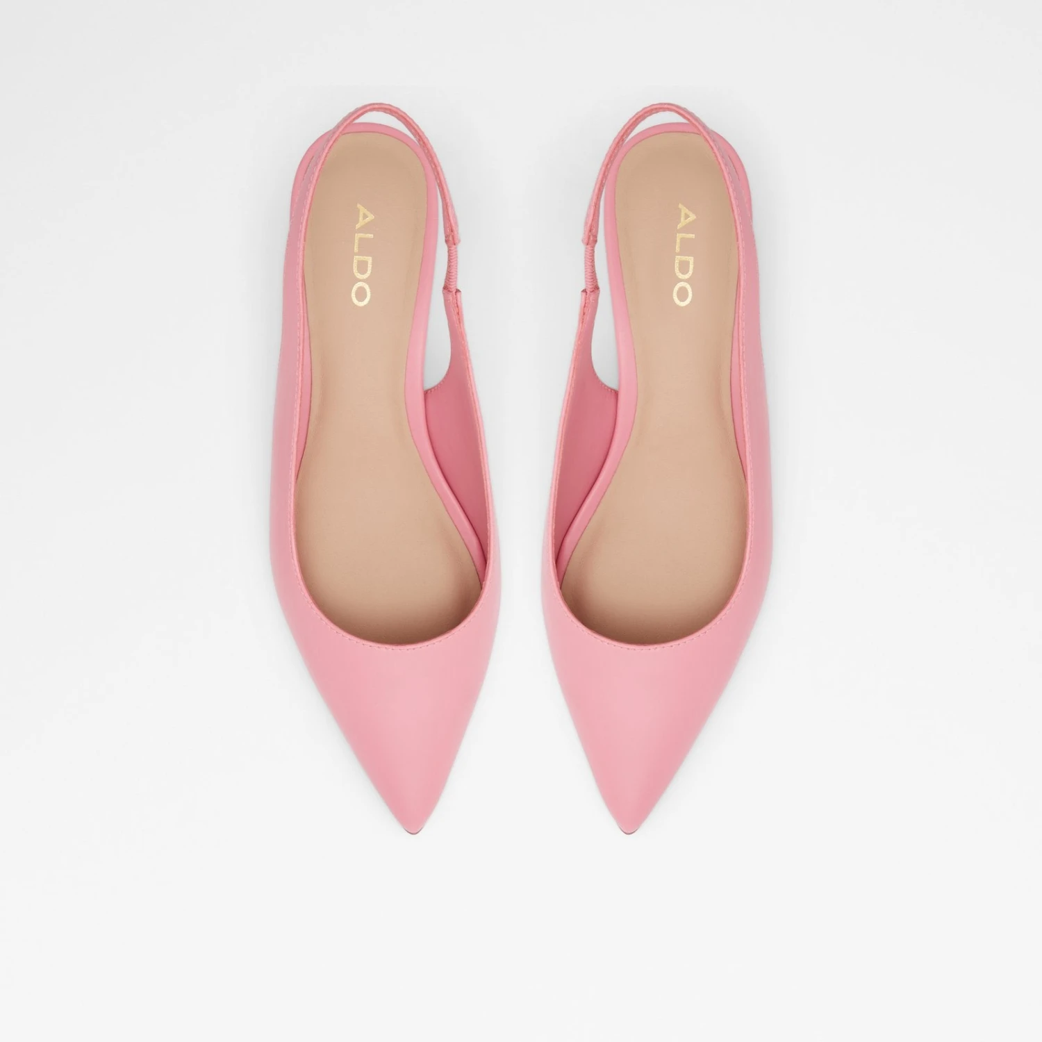 Aldo Peranga 7 Aldo Peranga - Image 7