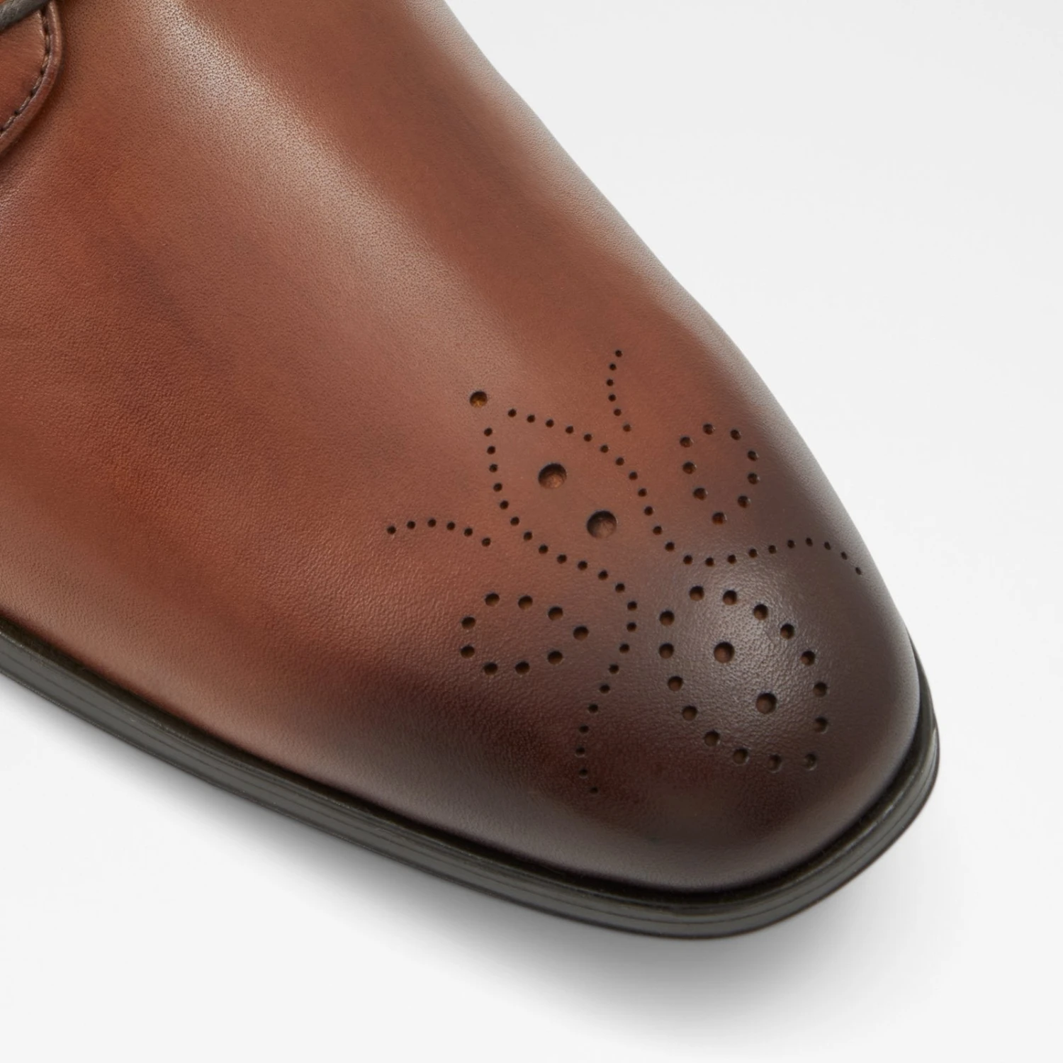 Aldo Reyes 6 Aldo Reyes - Image 6