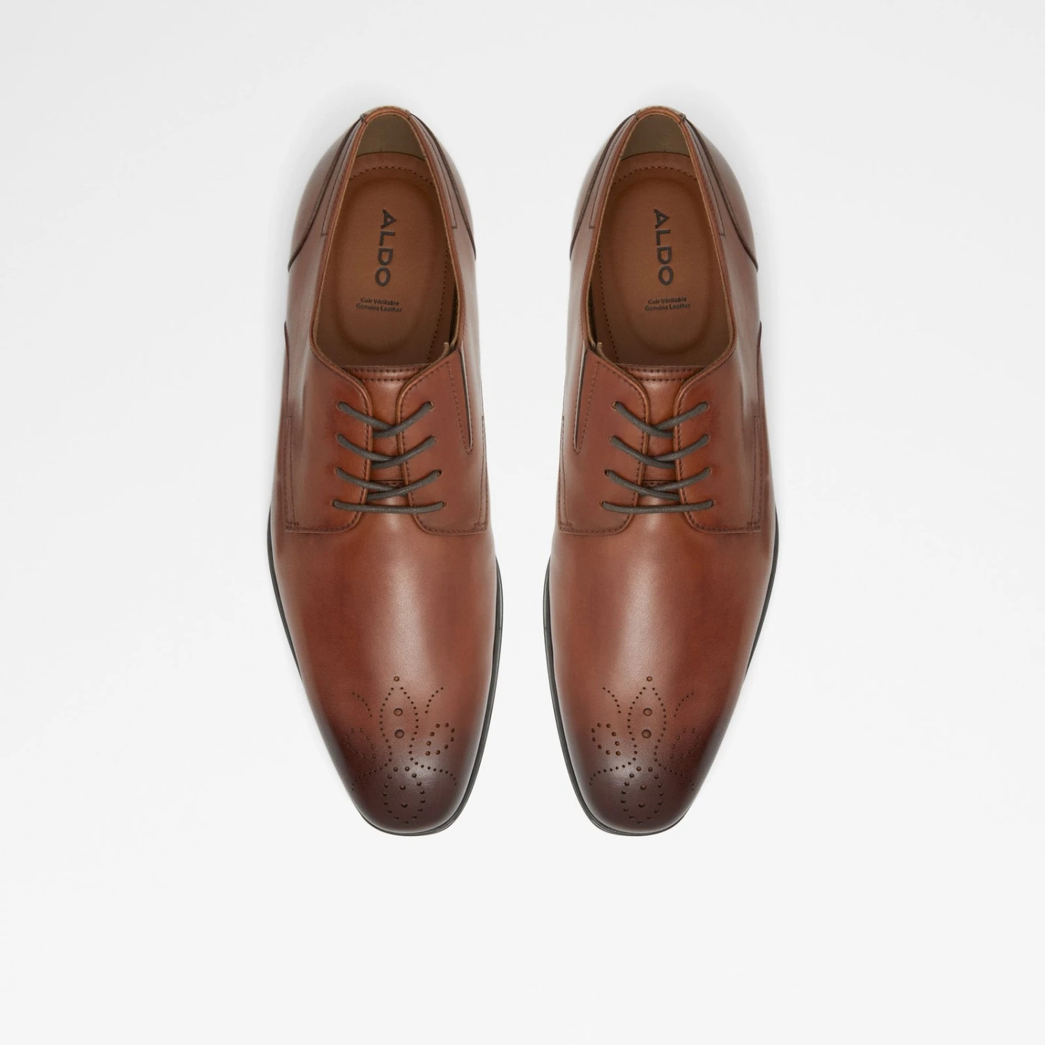 Aldo Reyes 7 Aldo Reyes - Image 7