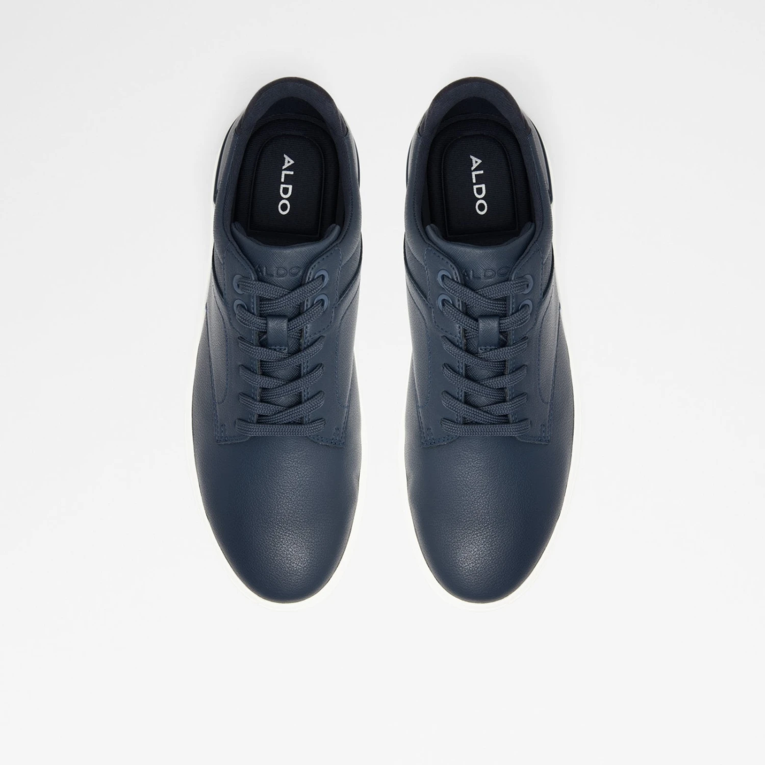 Aldo Rigidus 7 Aldo Rigidus - Image 7