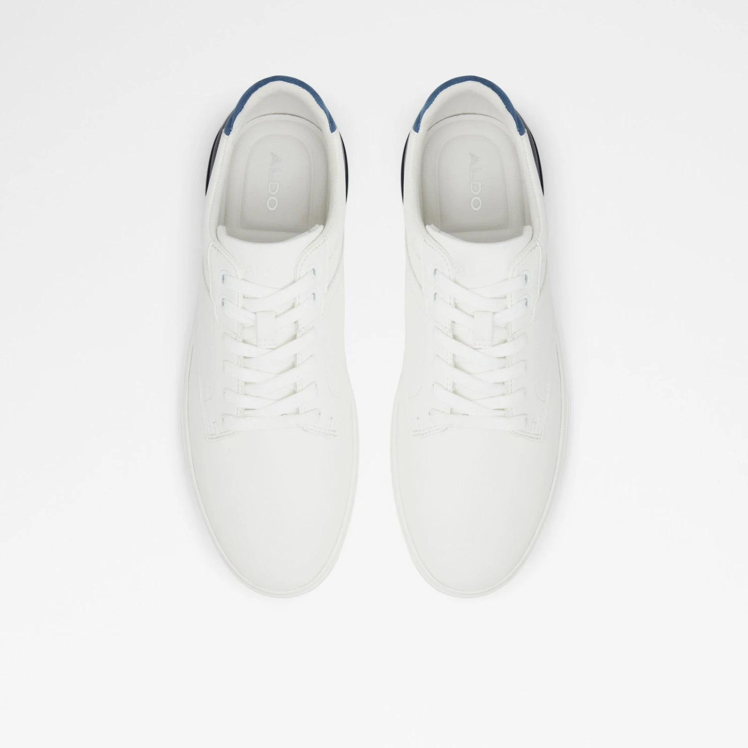 Aldo Rigidus 7 Aldo Rigidus - Image 7