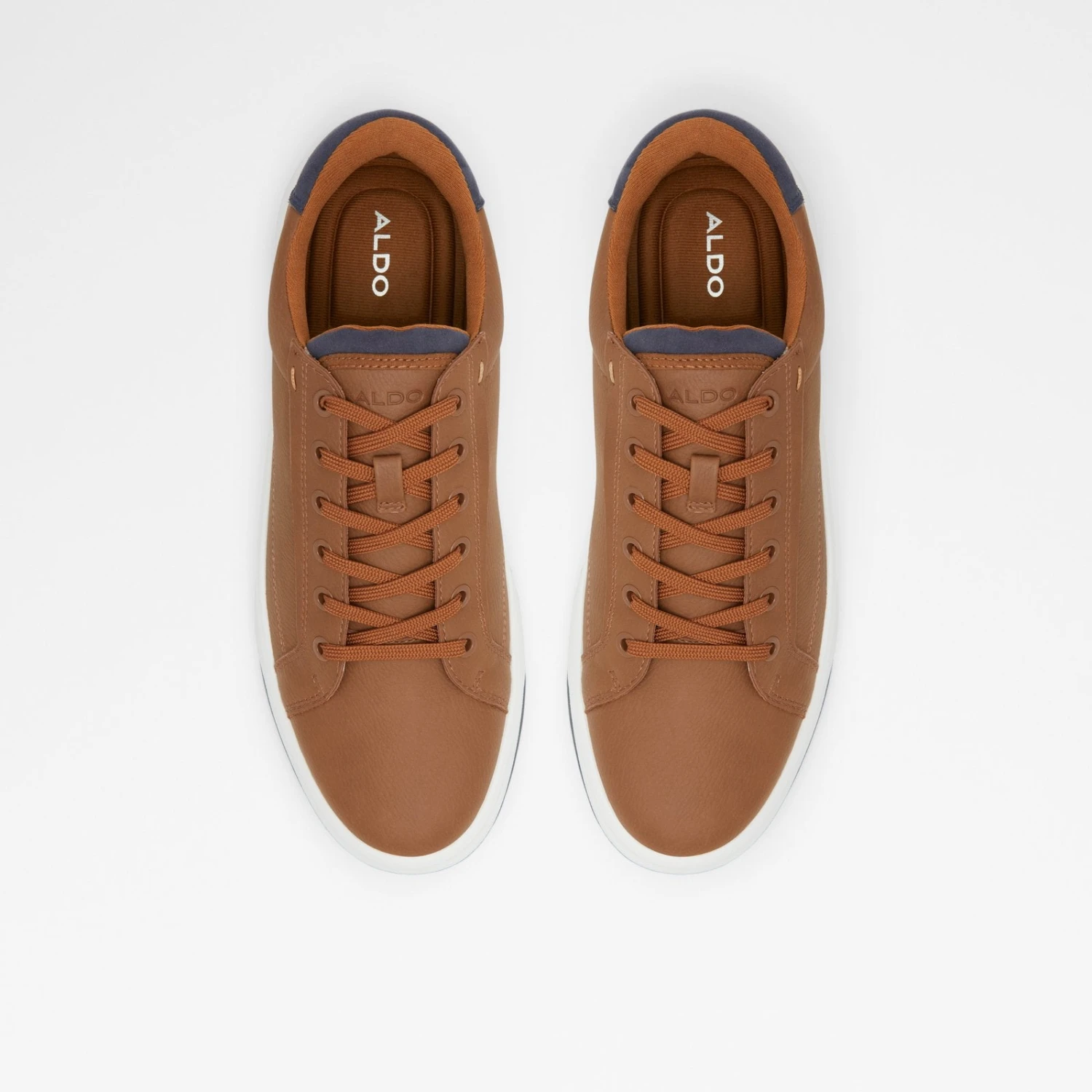 Aldo Romero 7 Aldo Romero - Image 7