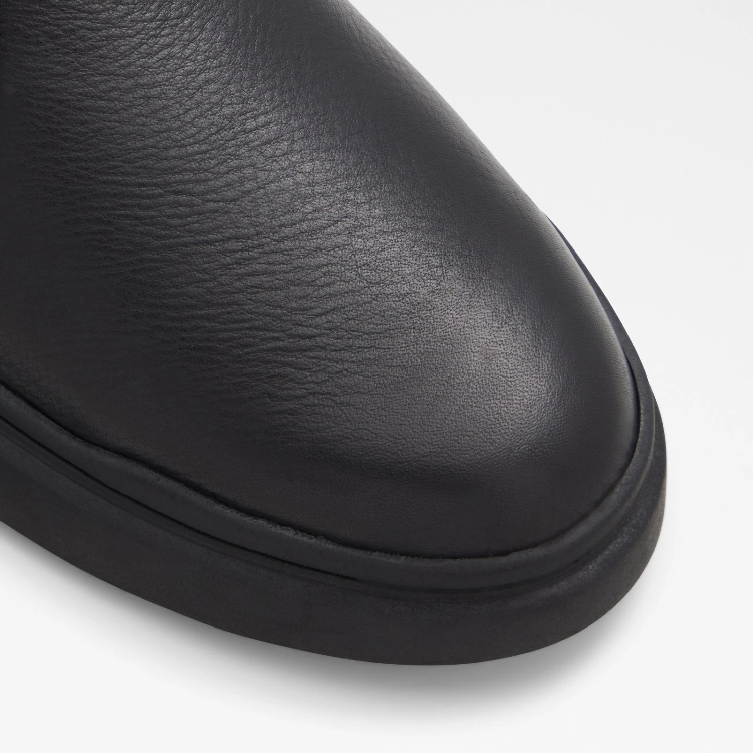 Aldo Rutger 6 Aldo Rutger - Image 6