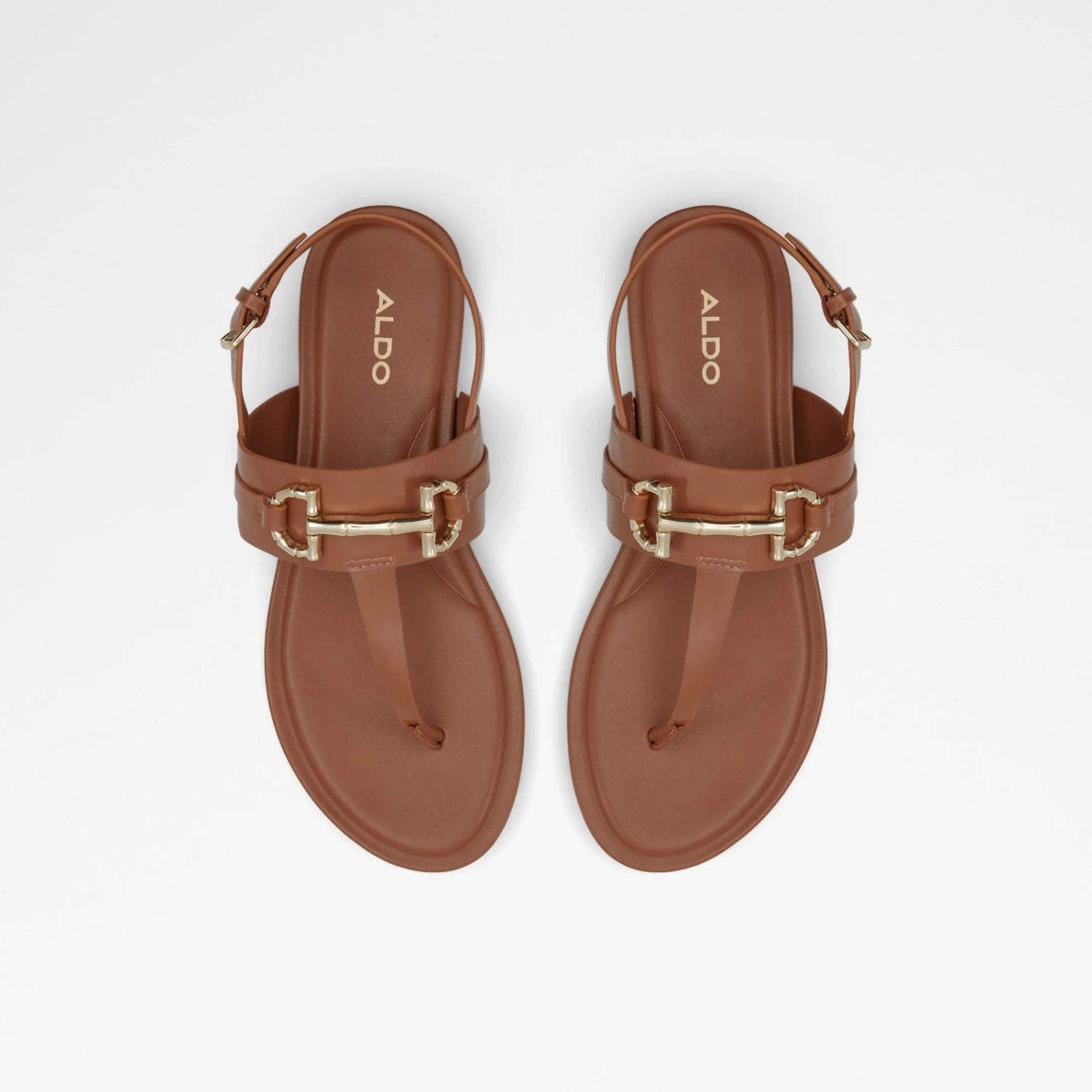 Aldo Tany 7 Aldo Tany - Image 7