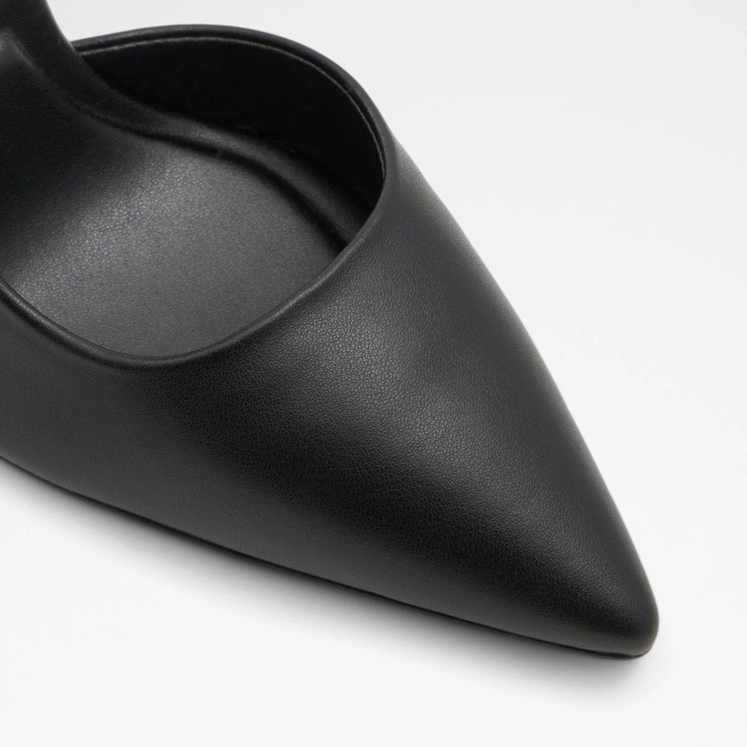 Aldo Tresora 6 Aldo Tresora - Image 6