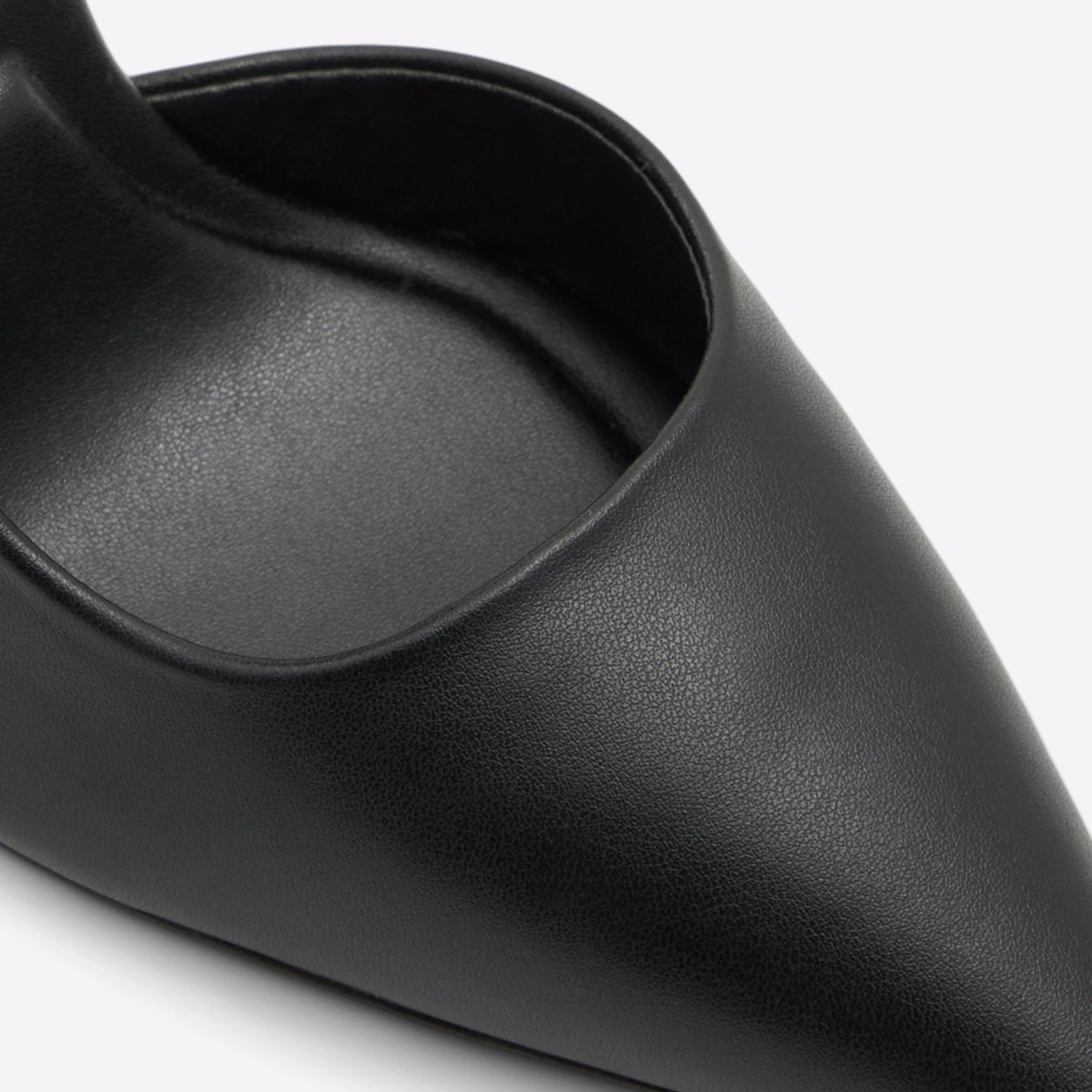 Aldo Tresora 8 Aldo Tresora - Image 8