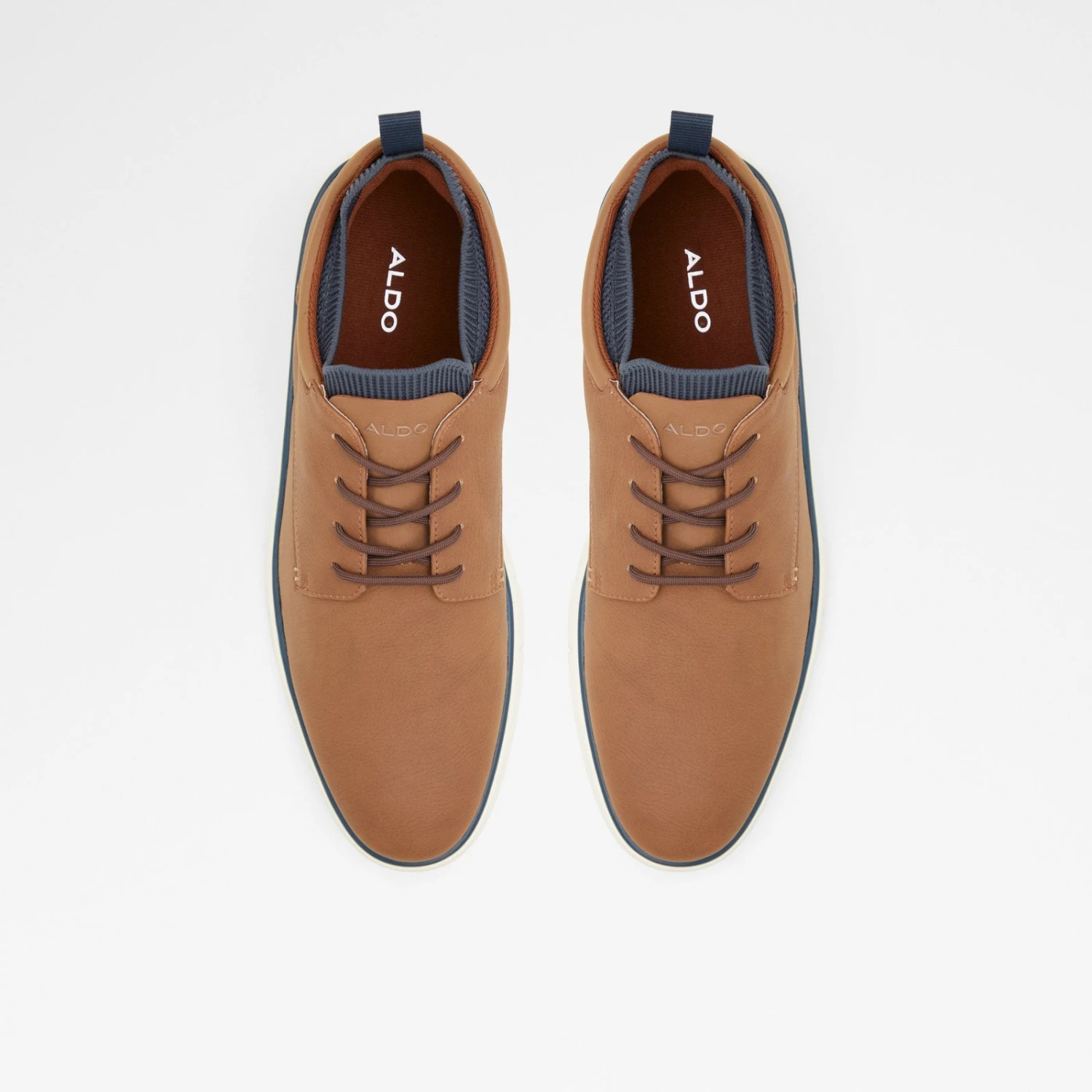 Aldo Walbi 7 Aldo Walbi - Image 7