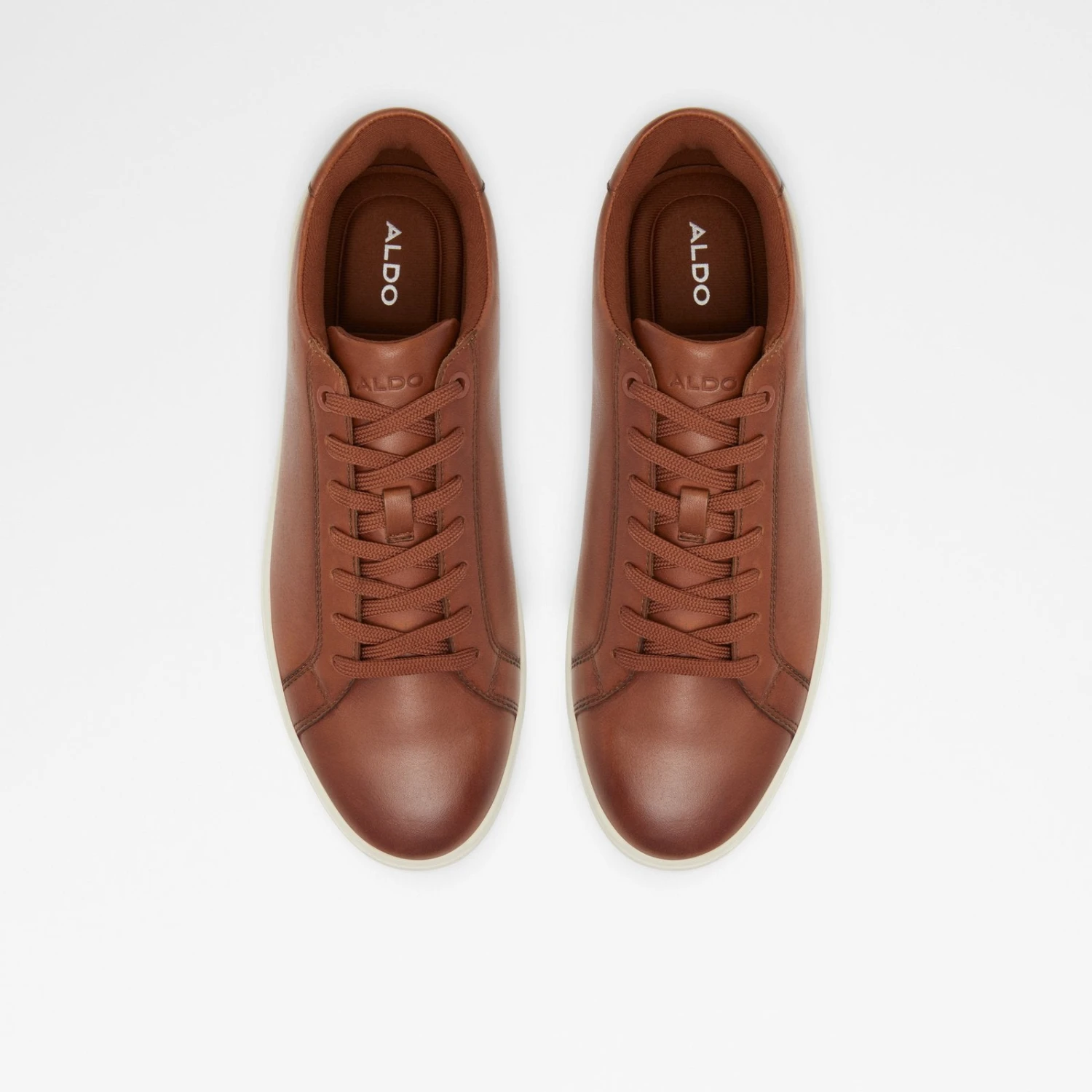 Aldo Wiresien 7 Aldo Wiresien - Image 7