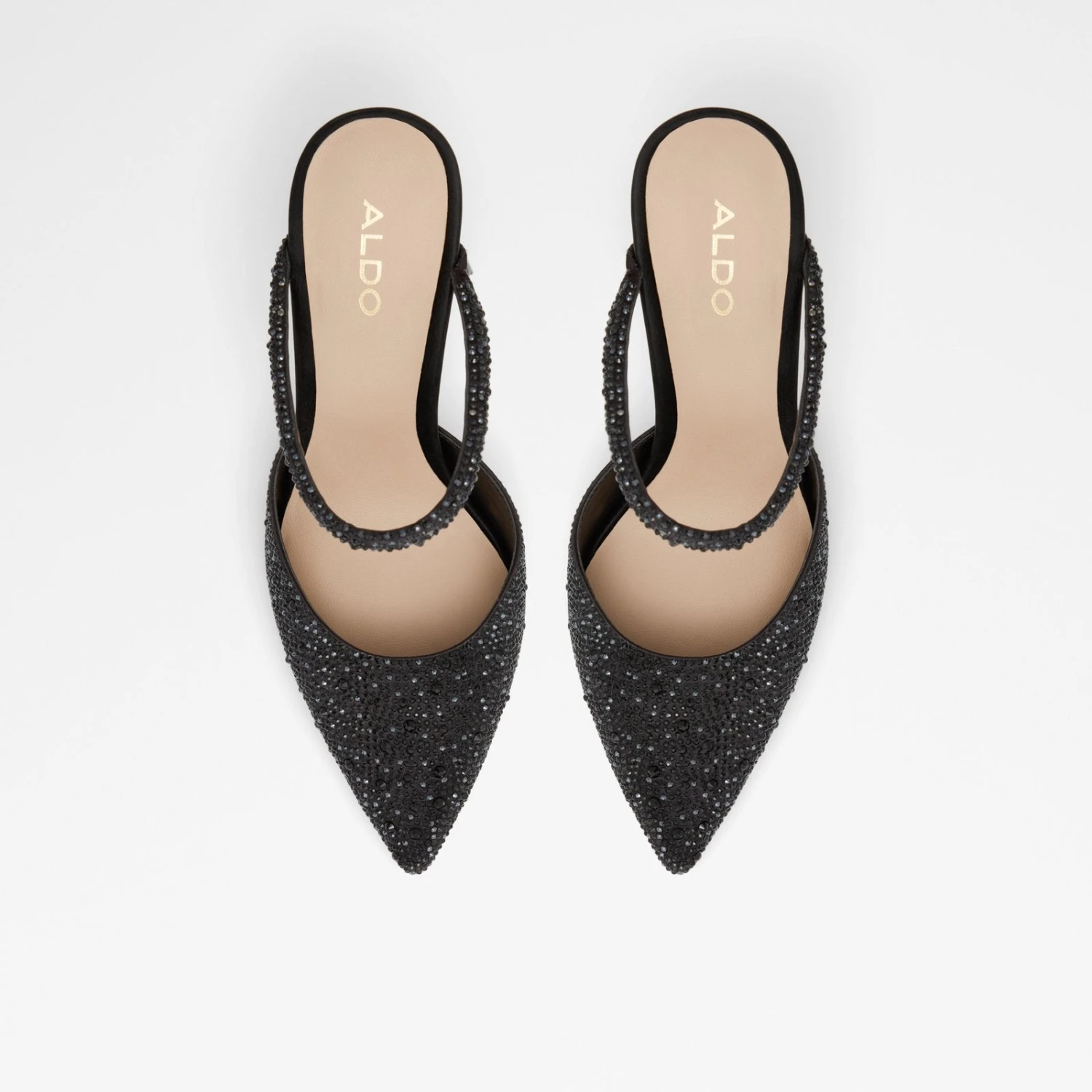 Aldo Zaonia 7 Aldo Zaonia - Image 7