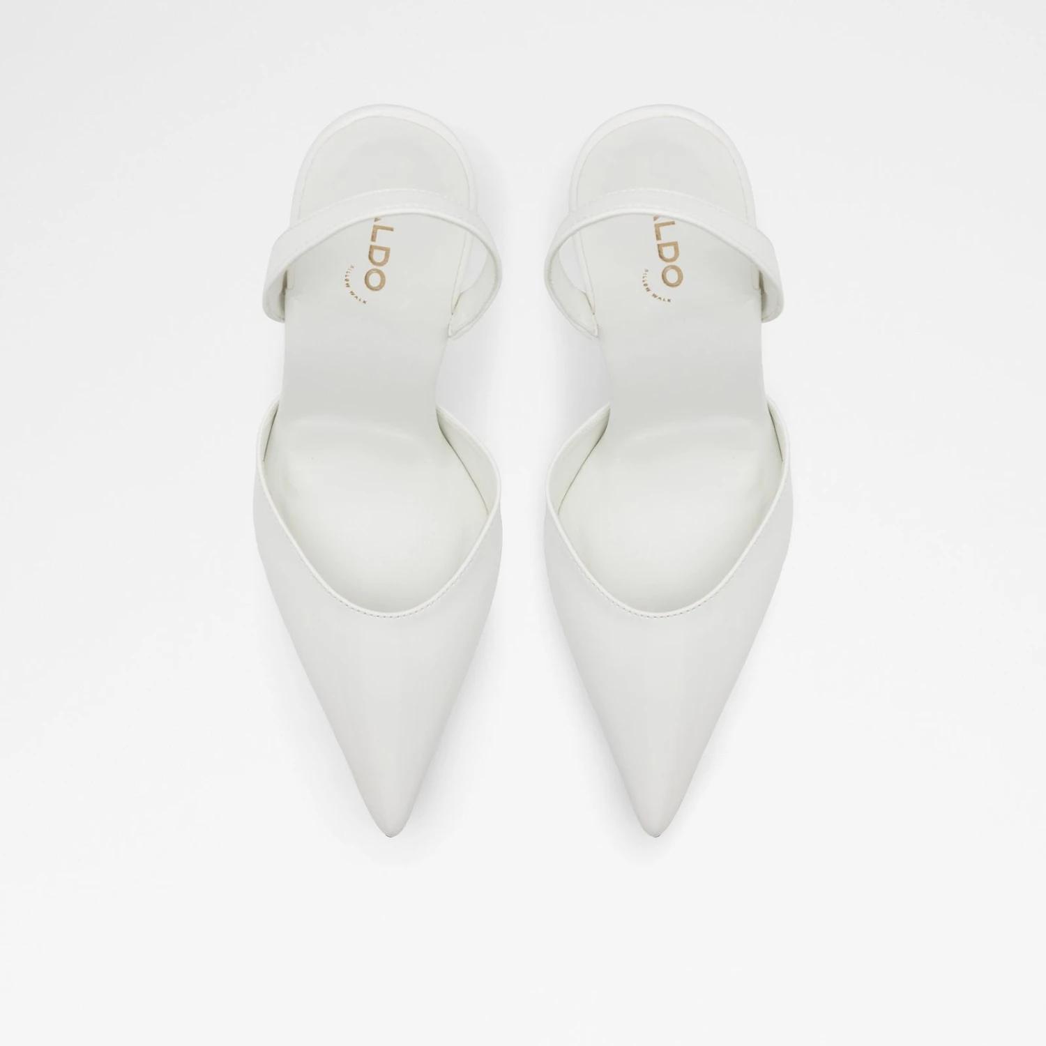 Aldo Zuella 7 Aldo Zuella - Image 7